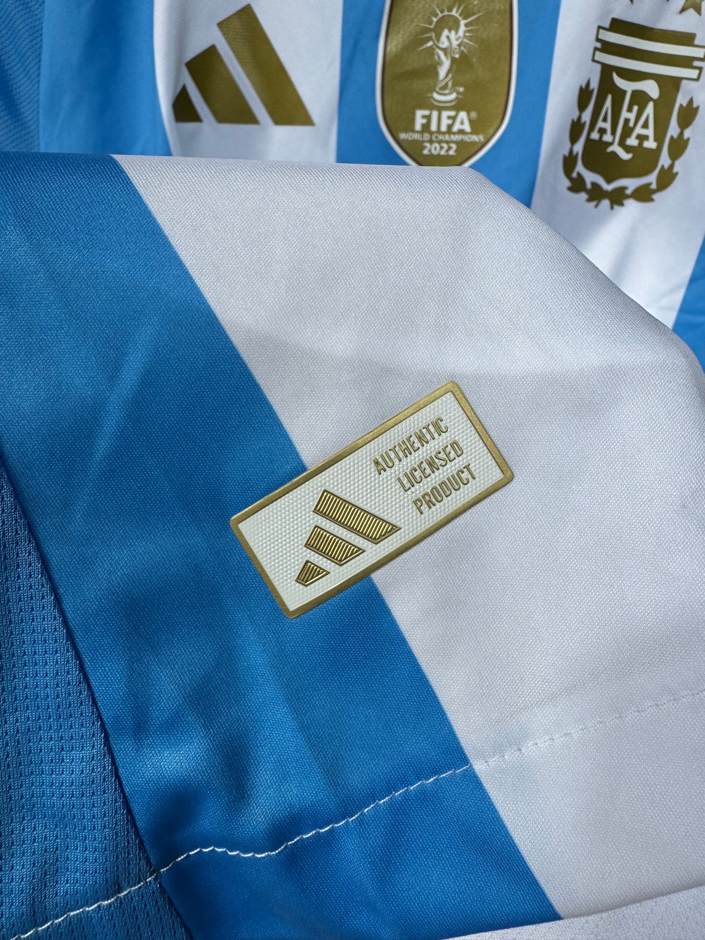 ARGENTINA 2024 WORLD CUP CHAMPIONS EDITION FOOTBALL JERSEY