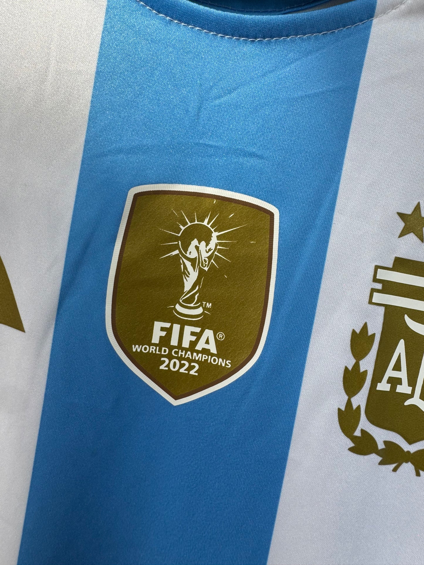 ARGENTINA 2024 WORLD CUP CHAMPIONS EDITION FOOTBALL JERSEY