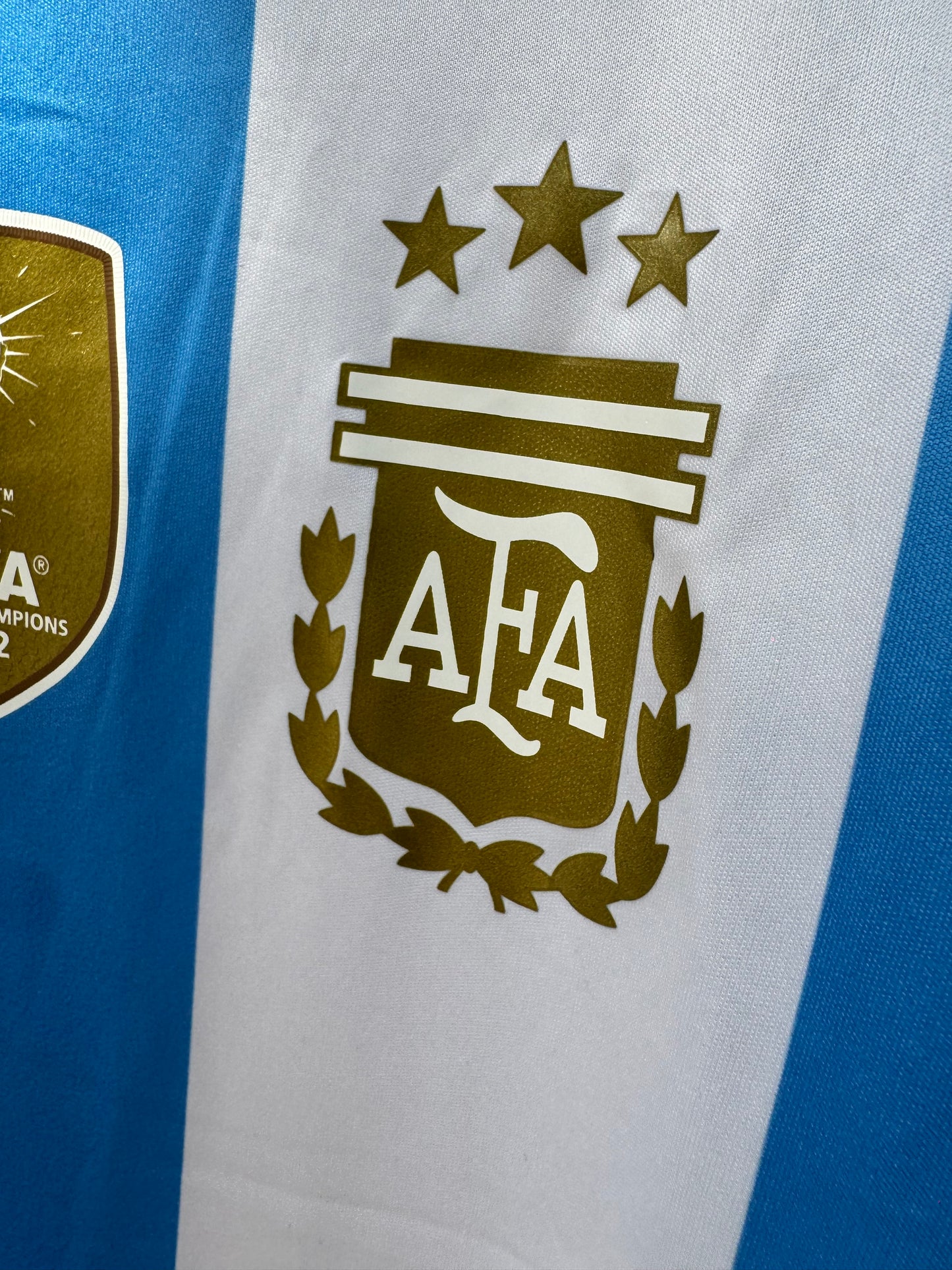 ARGENTINA 2024 WORLD CUP CHAMPIONS EDITION FOOTBALL JERSEY