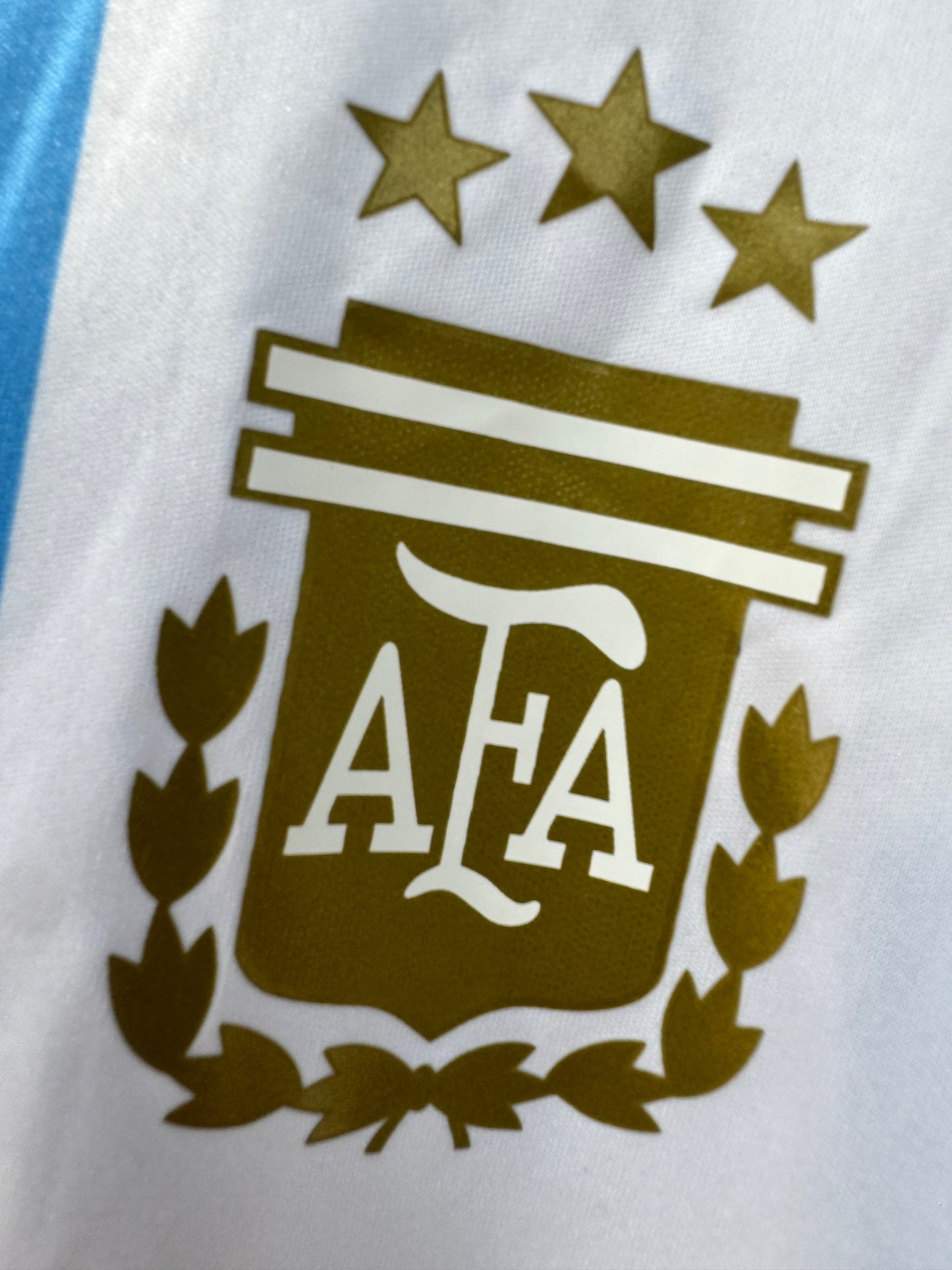 ARGENTINA 2024 WORLD CUP CHAMPIONS EDITION FOOTBALL JERSEY